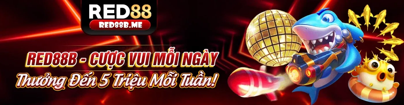 Giao diện ứng dụng quang88 win trên điện thoại